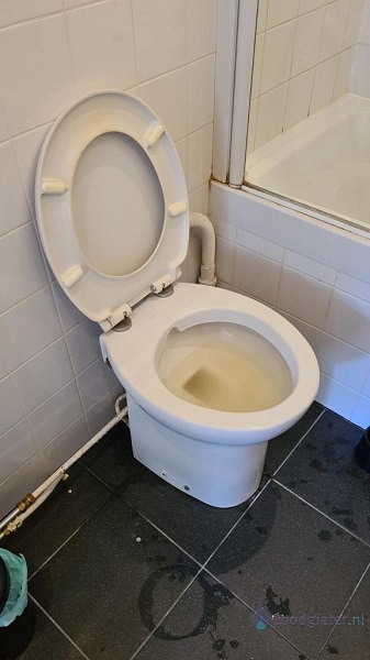  verstopping toilet Zaandijk